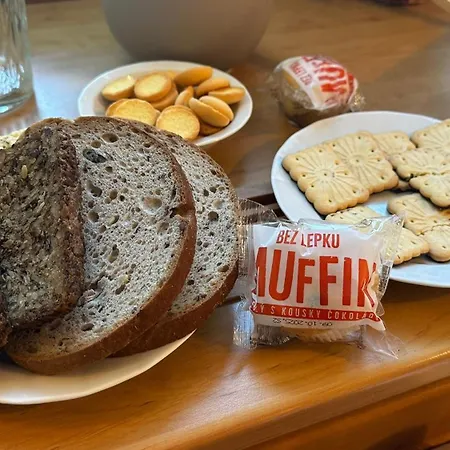 Satelit 3* Destne v Orlickych horach